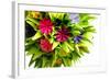 Origami Kusudama Flower-oksix-Framed Photographic Print