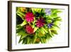 Origami Kusudama Flower-oksix-Framed Photographic Print