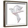 Origami Pigeon-jiris-Framed Premium Giclee Print