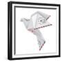 Origami Pigeon-jiris-Framed Premium Giclee Print