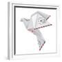 Origami Pigeon-jiris-Framed Premium Giclee Print