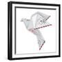 Origami Pigeon-jiris-Framed Art Print