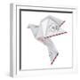 Origami Pigeon-jiris-Framed Art Print