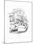 Origin Species, Ch Bennett, Cat - Old Maid-Charles H Bennett-Mounted Giclee Print