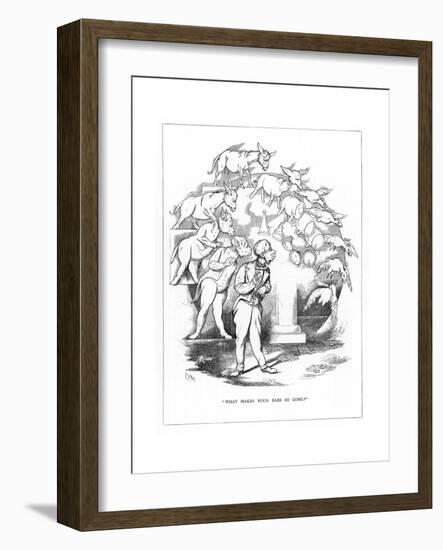 Origin Species, Ch Bennett, Fool - Donkey-Charles H Bennett-Framed Giclee Print