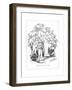 Origin Species, Ch Bennett, Fool - Donkey-Charles H Bennett-Framed Giclee Print