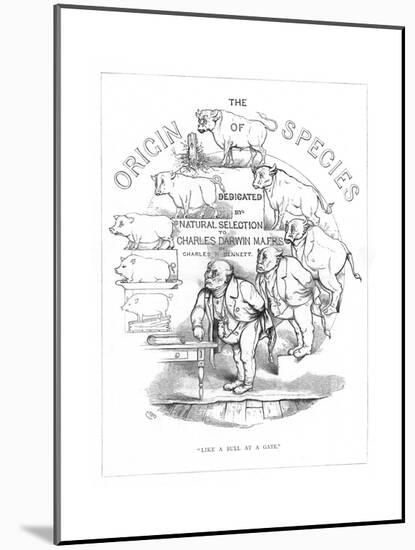 Origin Species, Ch Bennett, Title Page-Charles H Bennett-Mounted Giclee Print