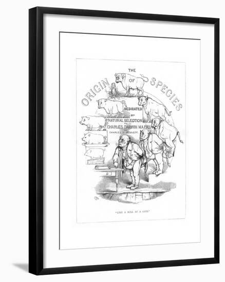 Origin Species, Ch Bennett, Title Page-Charles H Bennett-Framed Giclee Print