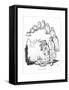 Origin Species, Ch Bennett, Wit - Owl-Charles H Bennett-Framed Stretched Canvas