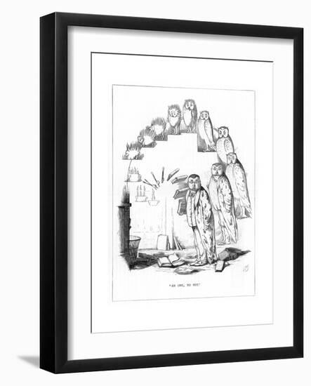 Origin Species, Ch Bennett, Wit - Owl-Charles H Bennett-Framed Giclee Print