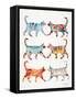 Original Cat Collection-Cat Coquillette-Framed Stretched Canvas