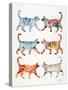 Original Cat Collection-Cat Coquillette-Stretched Canvas