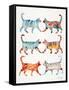 Original Cat Collection-Cat Coquillette-Framed Stretched Canvas