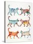 Original Cat Collection-Cat Coquillette-Stretched Canvas