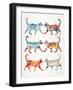 Original Cat Collection-Cat Coquillette-Framed Premium Giclee Print