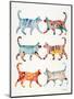 Original Cat Collection-Cat Coquillette-Mounted Giclee Print