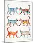 Original Cat Collection-Cat Coquillette-Mounted Giclee Print