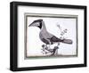 Original Drawings of Ornithology-Mathurin-Jacques Brisson-Framed Giclee Print