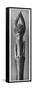 Original Forms of Art (Urformen Der Kunst), 1928: Dogwood (Kornelle, Hartriegel, Hartriegel or Corn-null-Framed Stretched Canvas