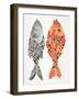 Original Indonesian Fish-Cat Coquillette-Framed Giclee Print
