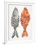 Original Indonesian Fish-Cat Coquillette-Framed Art Print