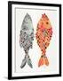 Original Indonesian Fish-Cat Coquillette-Framed Art Print