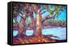 Original Oil Painting On Canvas For Giclee-null-Framed Stretched Canvas