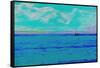 Original Oil Painting-null-Framed Stretched Canvas