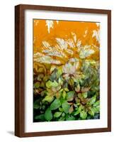 Original Print Blend-Ruth Palmer-Framed Art Print