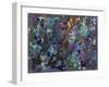 Originating 6-Hilary Winfield-Framed Giclee Print