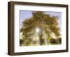 Origine-Viviane Fedieu Daniel-Framed Photographic Print