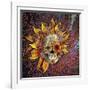 Origins Botaniskull-Fusion Idol Arts-Framed Giclee Print