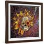 Origins Botaniskull-Fusion Idol Arts-Framed Giclee Print