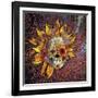 Origins Botaniskull-Fusion Idol Arts-Framed Giclee Print