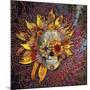 Origins Botaniskull-Fusion Idol Arts-Mounted Giclee Print