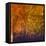 Origins - First Life, 2005-Mathew Clum-Framed Stretched Canvas