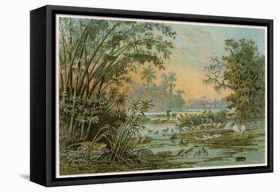 Orinoco Jungle Life-null-Framed Stretched Canvas