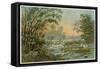 Orinoco Jungle Life-null-Framed Stretched Canvas