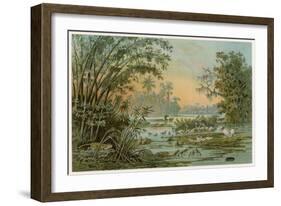 Orinoco Jungle Life-null-Framed Art Print