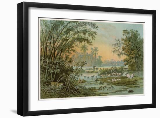 Orinoco Jungle Life-null-Framed Art Print