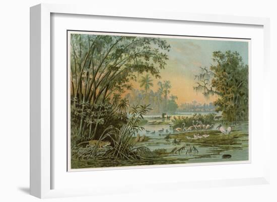 Orinoco Jungle Life-null-Framed Art Print