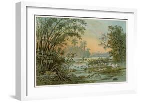 Orinoco Jungle Life-null-Framed Art Print