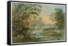 Orinoco Jungle Life-null-Framed Stretched Canvas