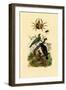 Oriol, 1833-39-null-Framed Giclee Print
