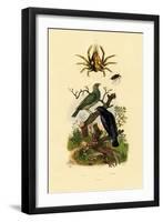 Oriol, 1833-39-null-Framed Giclee Print