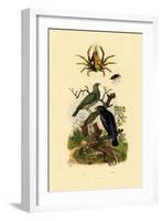 Oriol, 1833-39-null-Framed Giclee Print