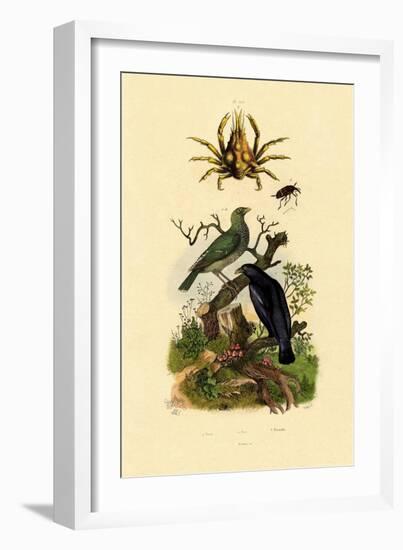 Oriol, 1833-39-null-Framed Giclee Print