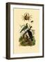 Oriol, 1833-39-null-Framed Premium Giclee Print