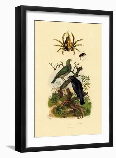 Oriol, 1833-39-null-Framed Premium Giclee Print