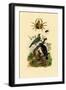 Oriol, 1833-39-null-Framed Premium Giclee Print